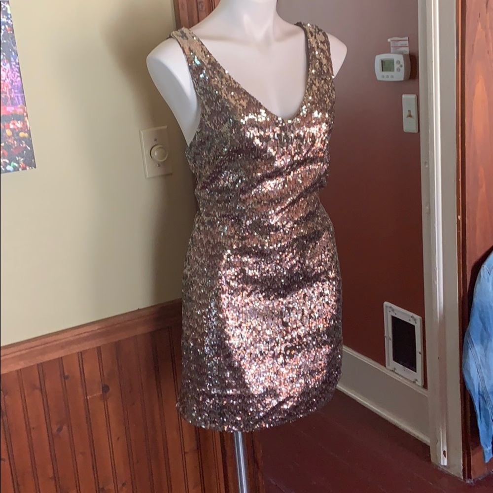 Sam Edelman Glitter dress